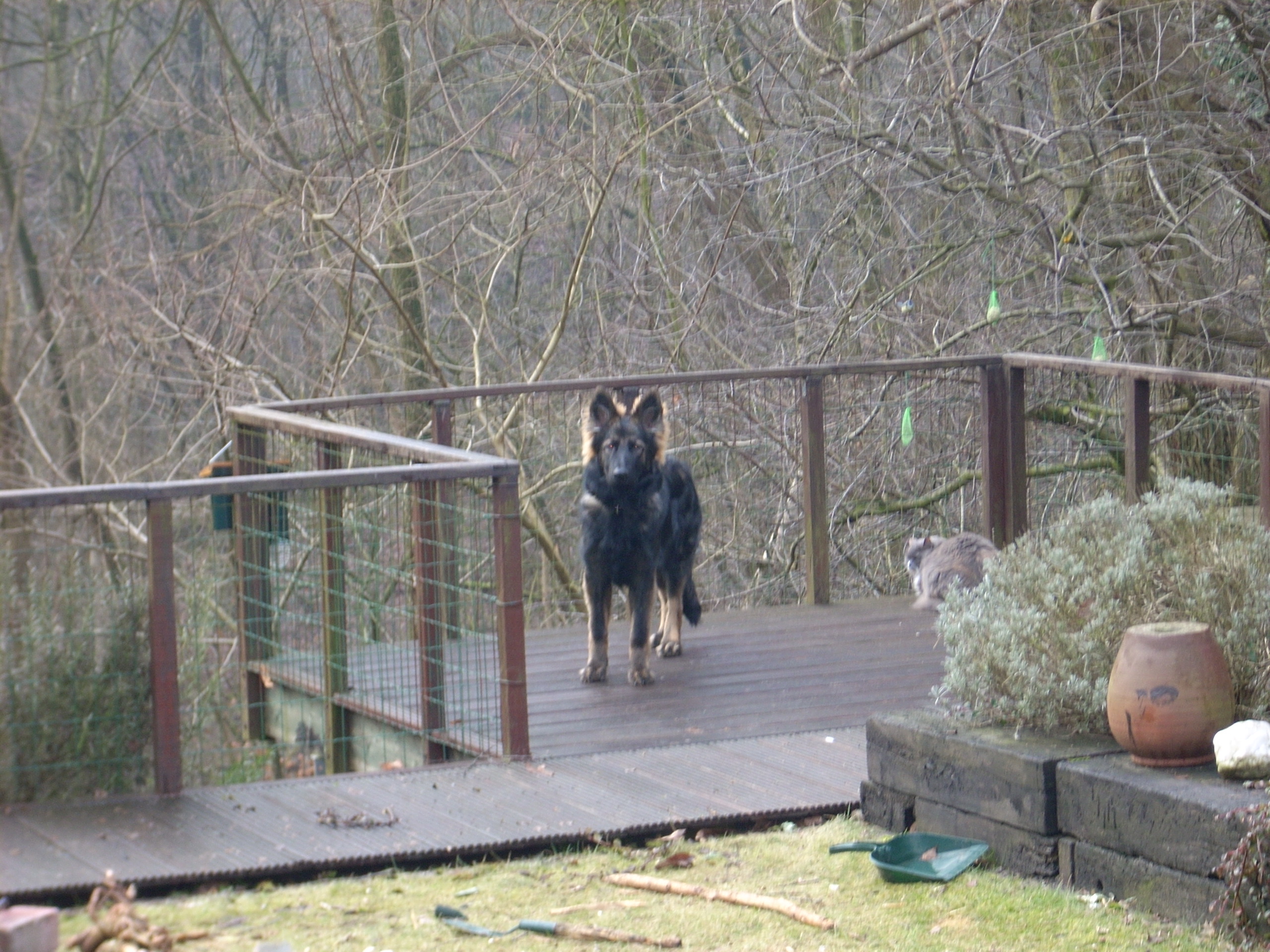 Fotos/afscheid/Arran/Arran003 6mnd.jpg