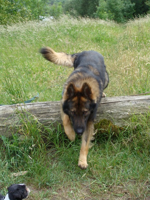 Fotos/Athos 2010/H juni 2011 097.jpg