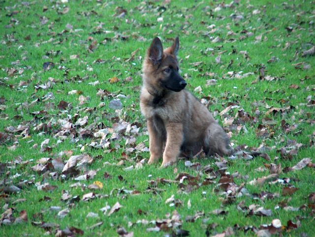 Fotos/afscheid/athos/athos 172.jpg