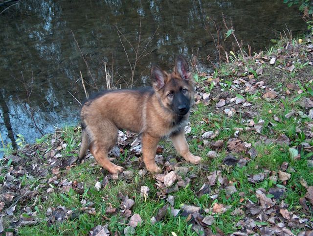 Fotos/afscheid/athos/athos 176.jpg