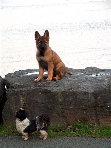 Fotos/afscheid/athos/athos 187.jpg