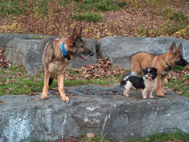 Fotos/afscheid/athos/athos 190.jpg