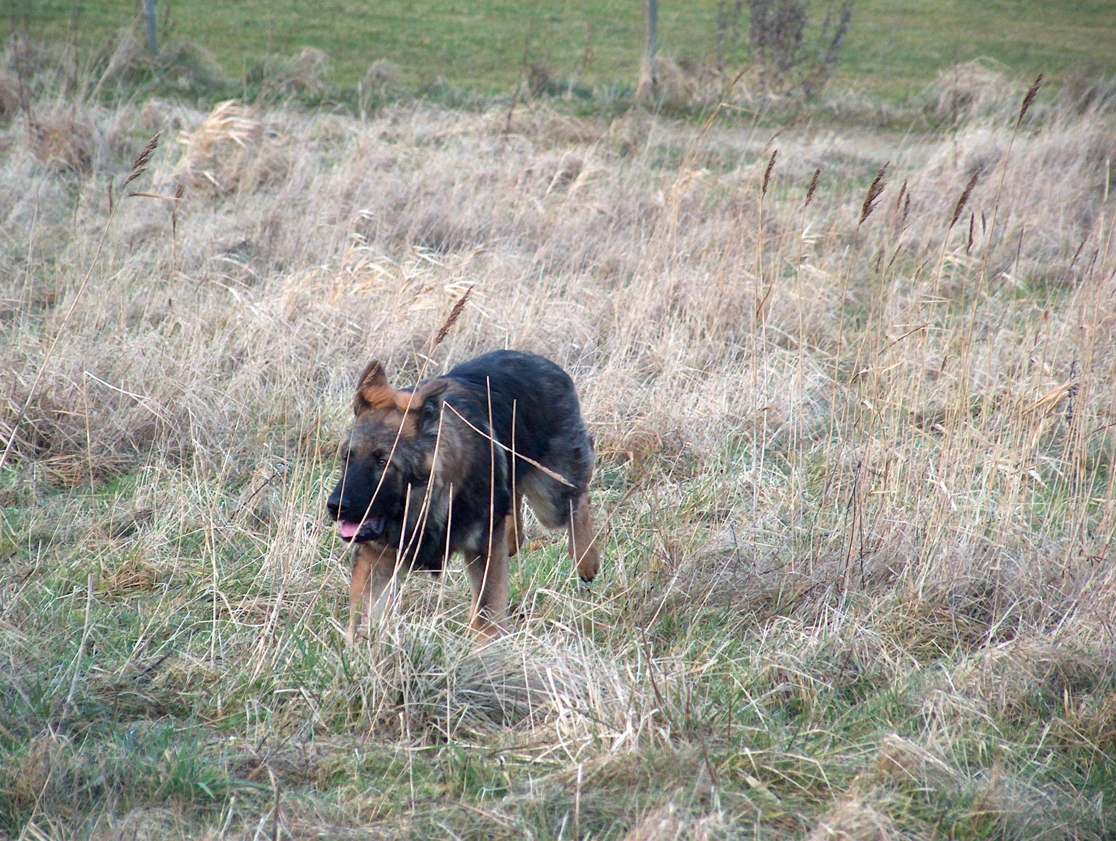 Fotos/afscheid/athos/athos 272.jpg