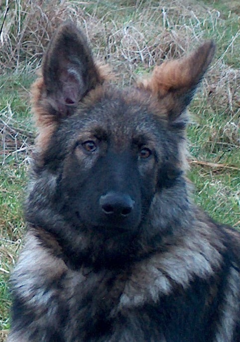 Fotos/afscheid/athos/athos 294.jpg
