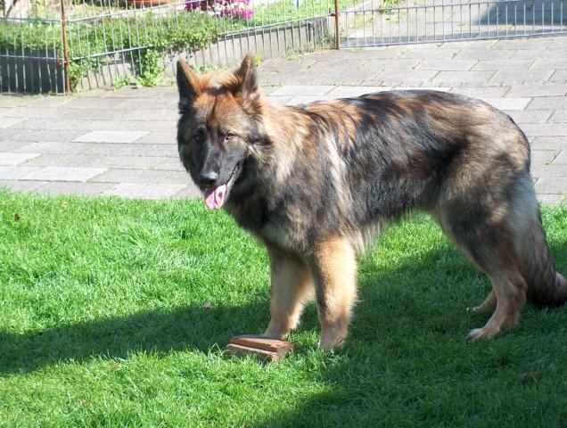Fotos/Athos2009/athos 374.jpg