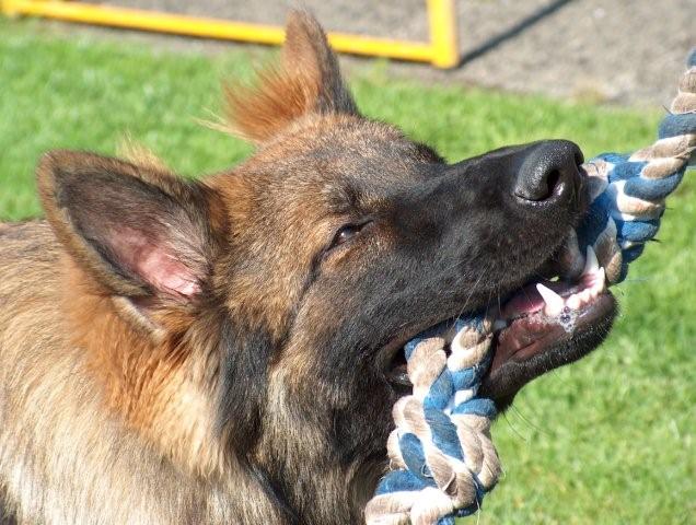 Fotos/Athos2009/athos 416.jpg
