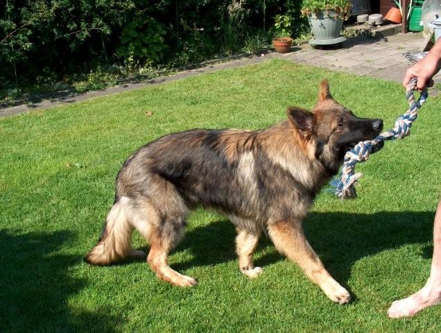 Fotos/Athos2009/athos 417.jpg