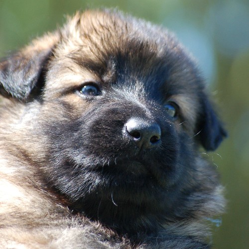 Fotos/week_4/athos.jpg