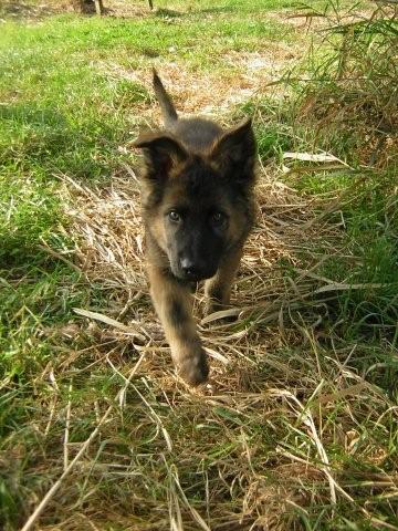 Fotos/vervolg2009/benzo/benzo 11wkn 006.JPG