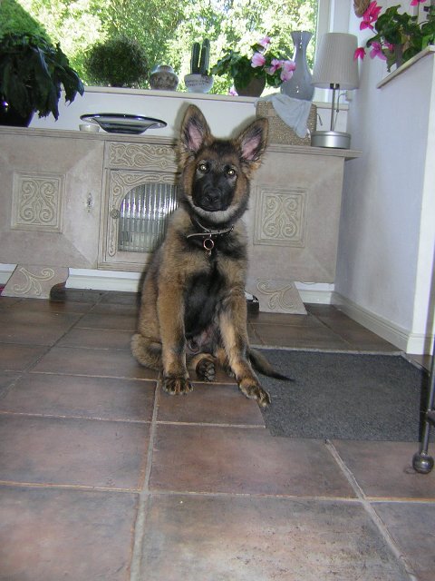 Fotos/vervolg2009/benzo/benzo15 005.JPG