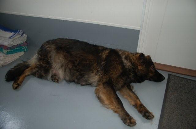 Fotos/nest2009/2lekkerkoel.jpg