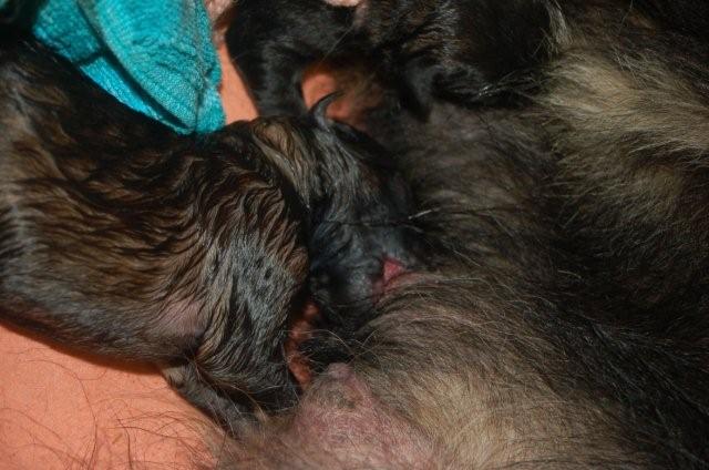 Fotos/nest2009/geboorte/24drinken.jpg