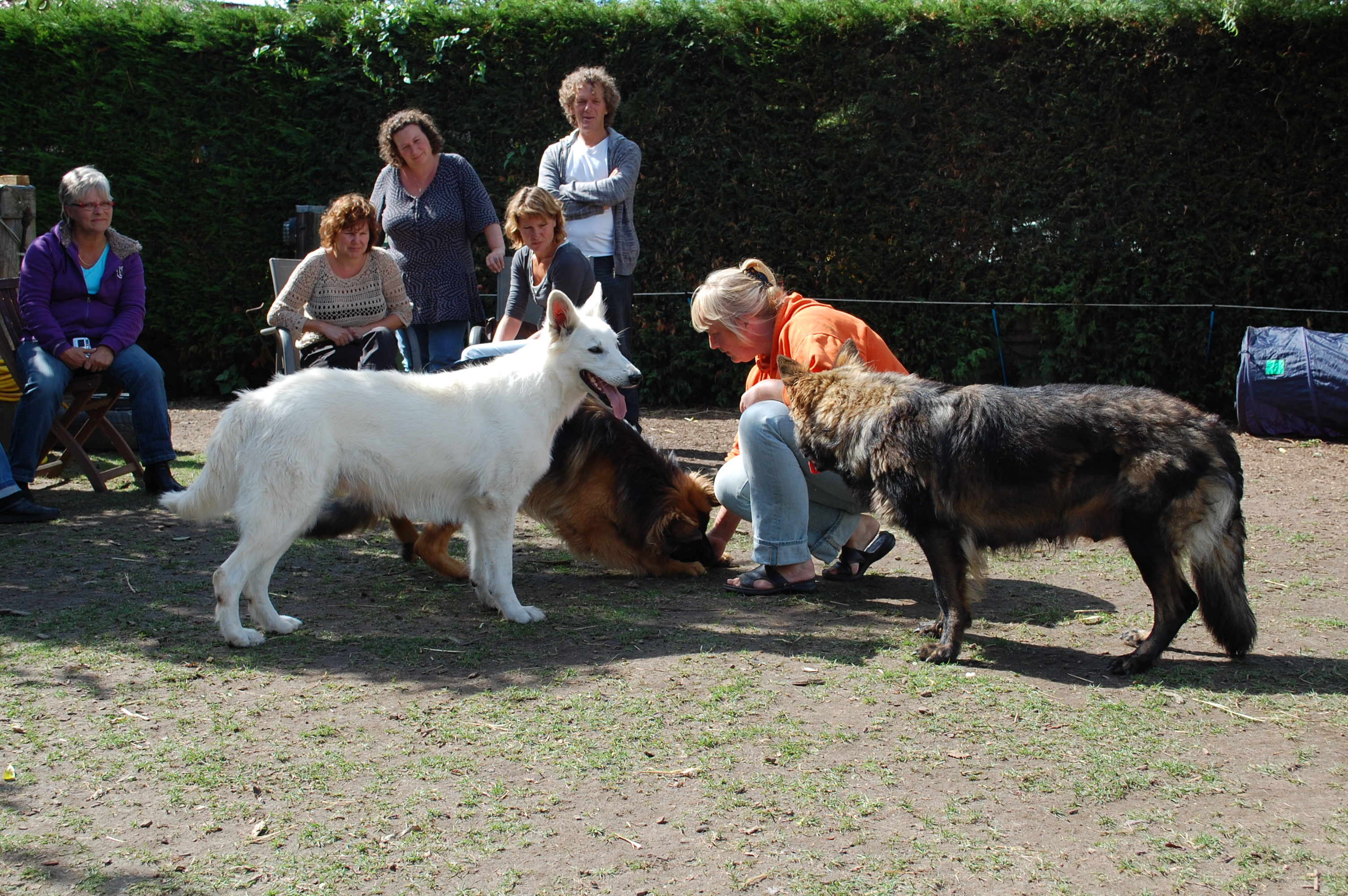 Fotos/puppymiddag/DSC_0078.JPG