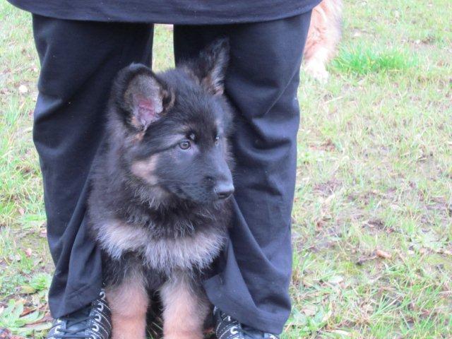 Fotos/2010vervolgTaylor/Cycka/cycka nov. 2010 023.JPG