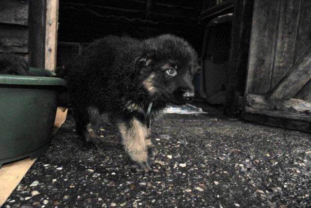 Fotos/nestTaylor2010/week6/DSC01216.jpg