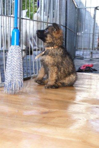 Fotos/nestTaylor2010/week6/DSC01398.jpg