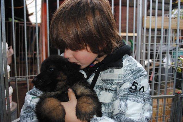 Fotos/nestTaylor2010/week6/PUPPIES 293.jpg
