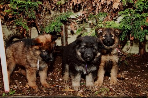 Fotos/nestTaylor2010/week7/IMG_883101[1].JPG