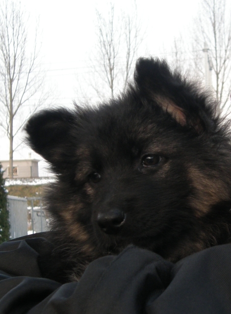 Fotos/2011 Taylor/Vervolg/Fajra/doei, tot ziens.JPG