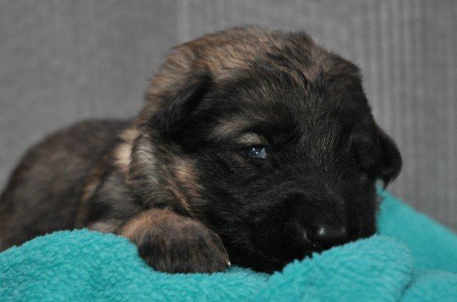 Fotos/2011 Taylor/week1/turkoois.jpg