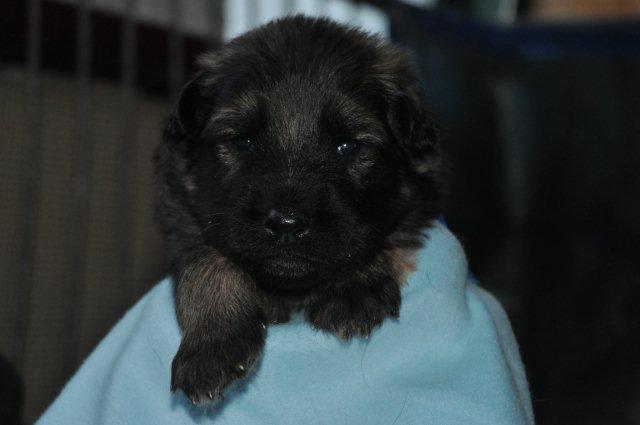 Fotos/2011 Taylor/week3/blauw.jpg