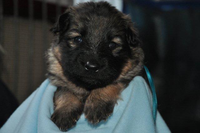 Fotos/2011 Taylor/week3/turkoois.jpg