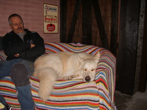 Fotos/Dingo/Foto-7OONPJH7.jpg
