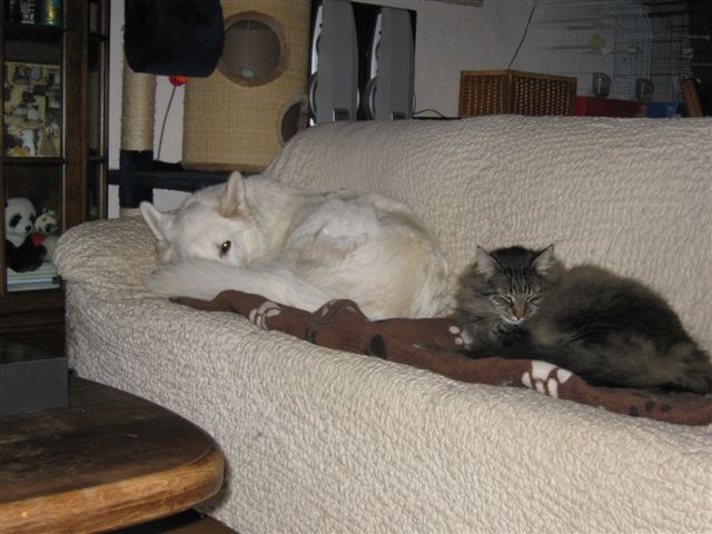 Fotos/Fennah/Etienne/feb2012/IMG_1138.JPG