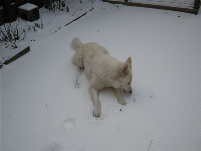 Fotos/Fennah/Etienne/feb2012/IMG_1146.JPG