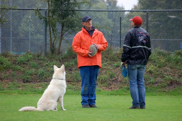 Fotos/Indy/ok 2008.JPG