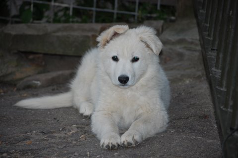 Fotos/Inuk/DSC_0216.JPG
