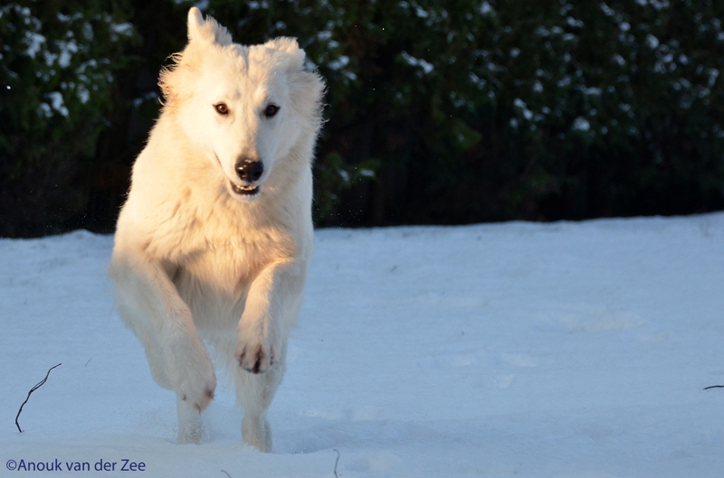 Fotos/Lucy/DSC_7457.JPG