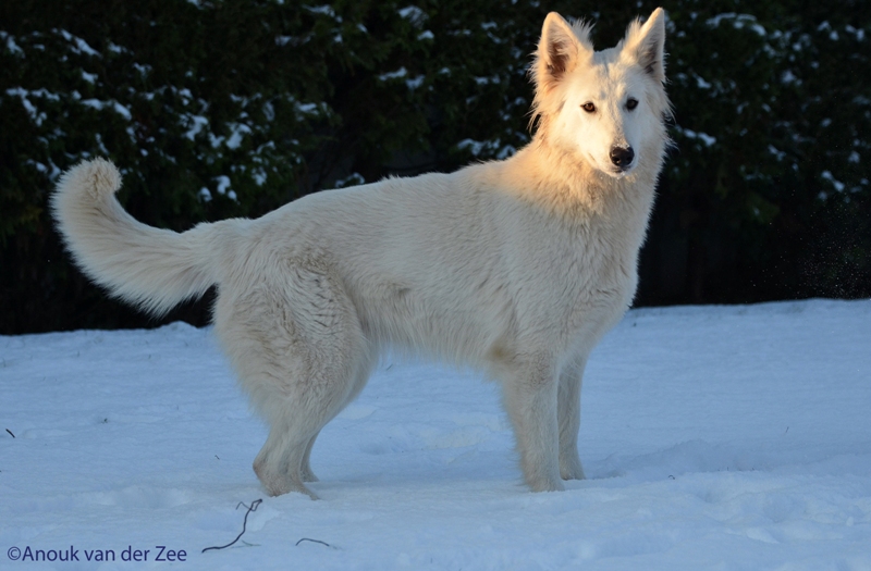 Fotos/Lucy/DSC_7466.JPG