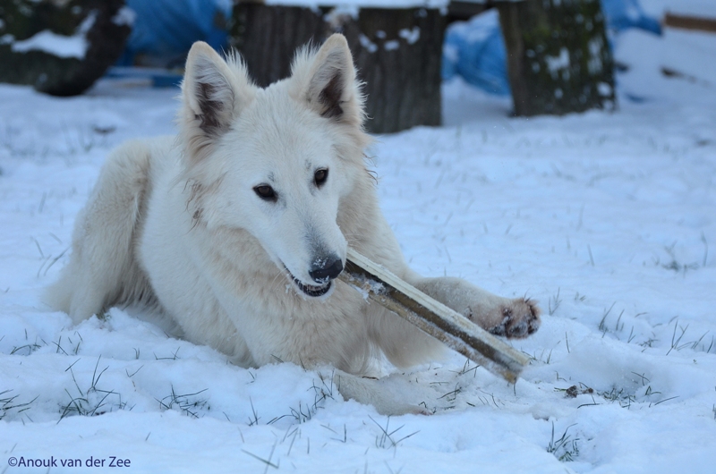 Fotos/Lucy/DSC_7474.JPG