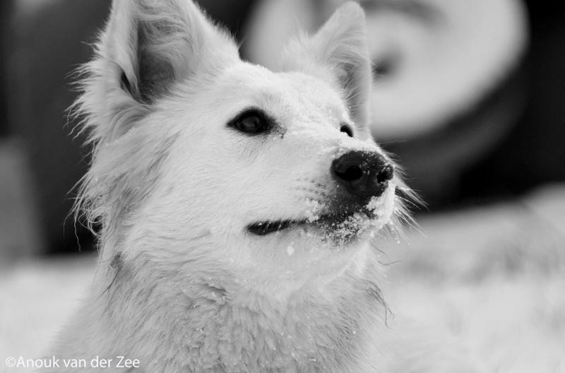 Fotos/Lucy/DSC_7486.JPG