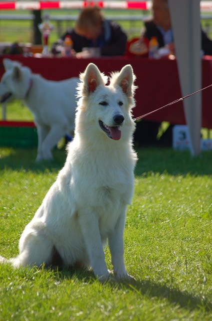Fotos/Willow/Anouk van der Zee.JPG