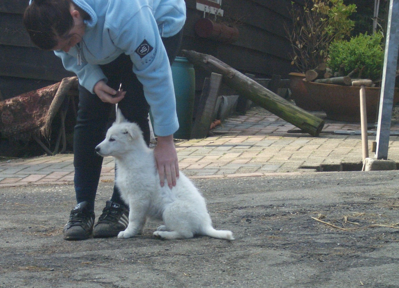 Fotos/Honden/Willow/CIMG0119.JPG