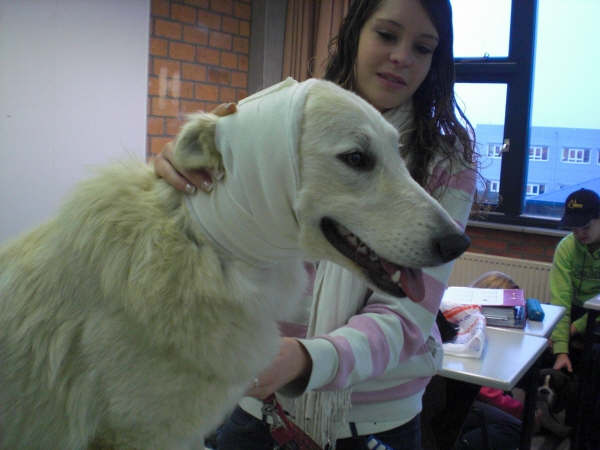 Fotos/Honden/Willow/CIMG6853.JPG