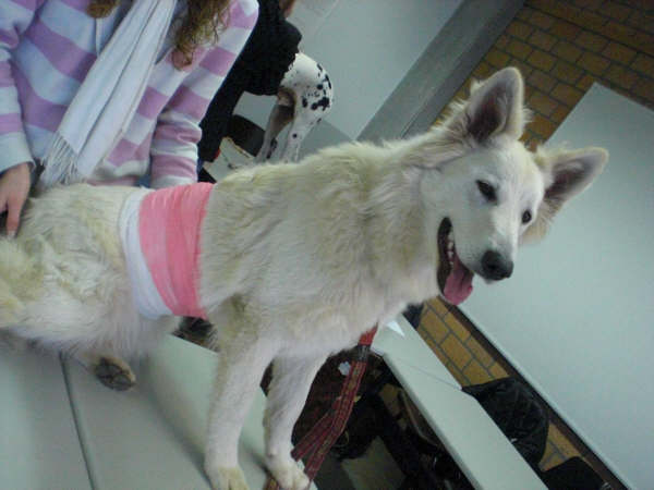Fotos/Honden/Willow/CIMG6880.JPG