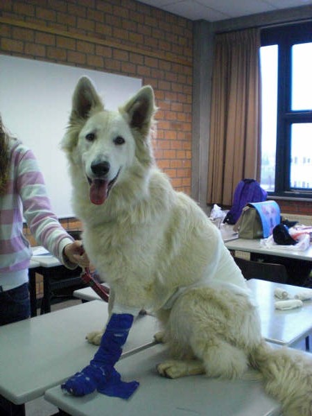 Fotos/Honden/Willow/CIMG6885.JPG
