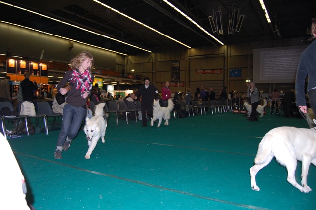 Fotos/Honden/Willow/DSC_0019.JPG