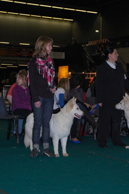 Fotos/Honden/Willow/DSC_0034.JPG