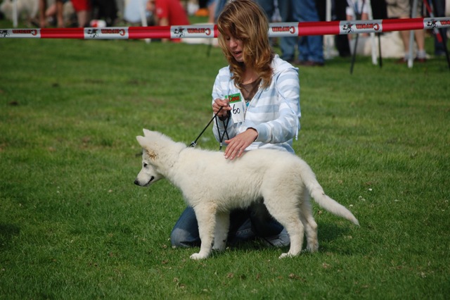Fotos/Honden/Willow/DSC_5185.JPG