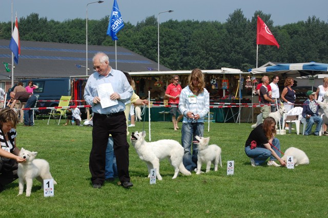 Fotos/Honden/Willow/DSC_5229.JPG