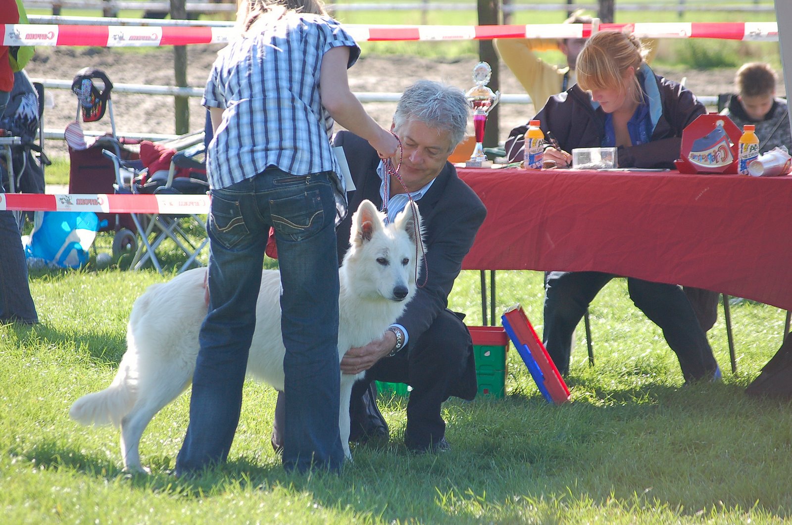 Fotos/Honden/Willow/DSC_6374.JPG
