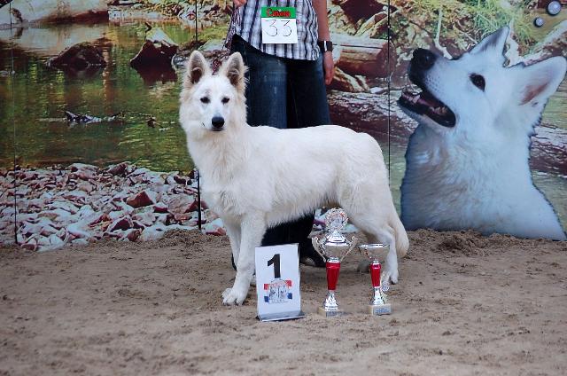 Fotos/Honden/Willow/DSC_6523[1].jpg