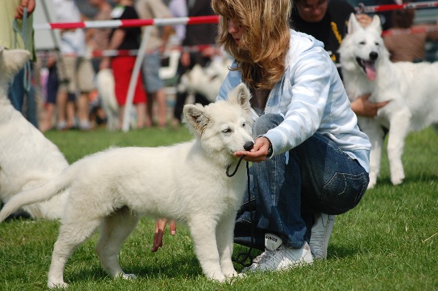 Fotos/Honden/Willow/kimderde.jpg