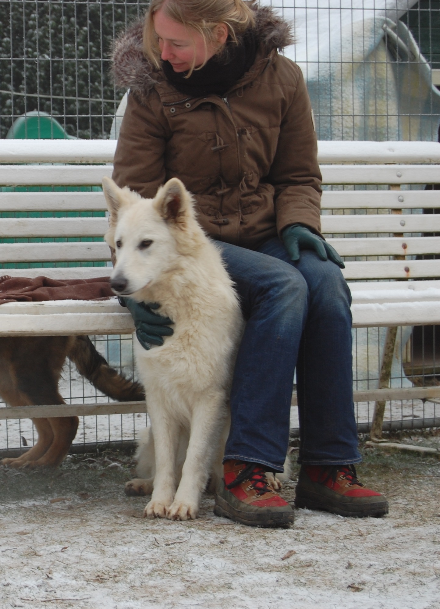 Fotos/Honden/Willow/met Anouk.jpg