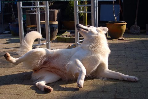 Fotos/I-nest 2010/DSC_1684.JPG