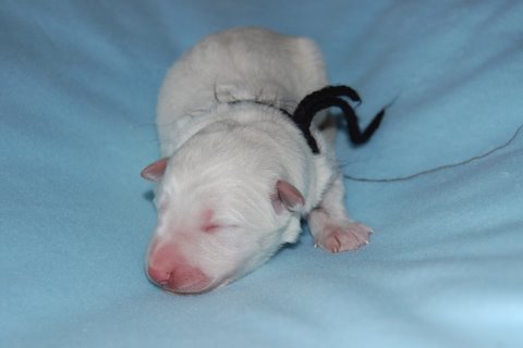 Fotos/I-nest 2010/geboorte/DSC_0077.JPG